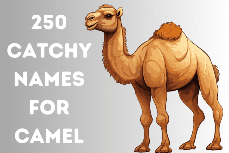 250+ Catchy Camel Names For Your King Of Desert