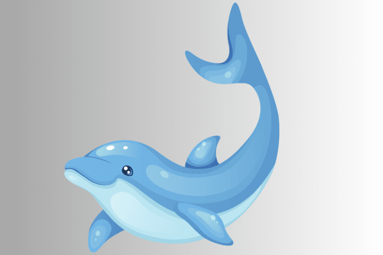 300+ Cute And Catchy Dolphin Names With Name Generator