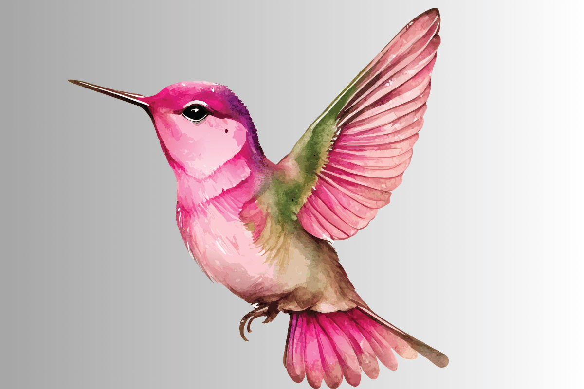 250+ Catchy Hummingbirds Names With Generator 2024