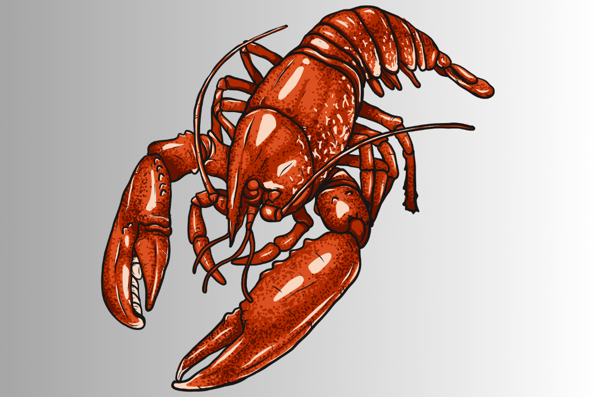 250+ Cool & Catchy Lobster Names (+ Generator) 2024