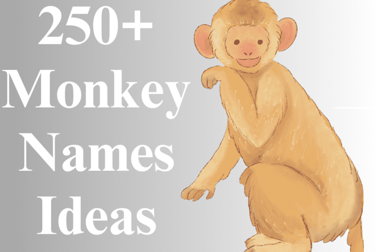 250+ Catchy Monkey Names For Your Cheeky Friend