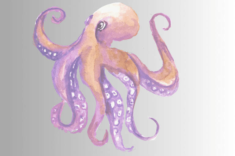 250+ Cool And Catchy Octopus Names With Name Generator