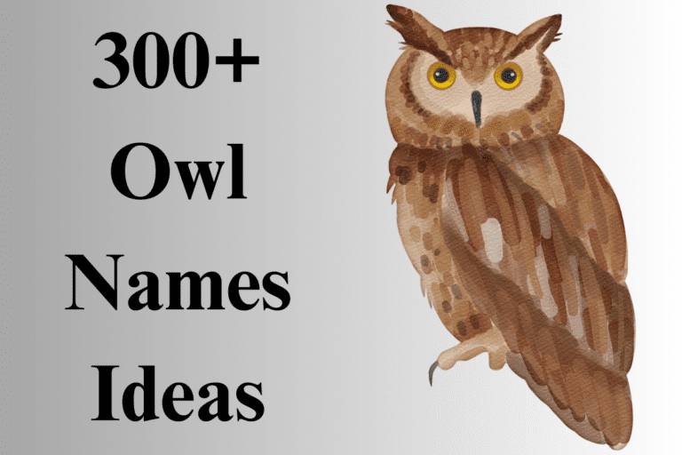 Owl Names