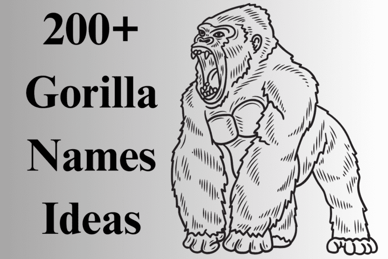 200+ Catchy Gorilla Names With Generator