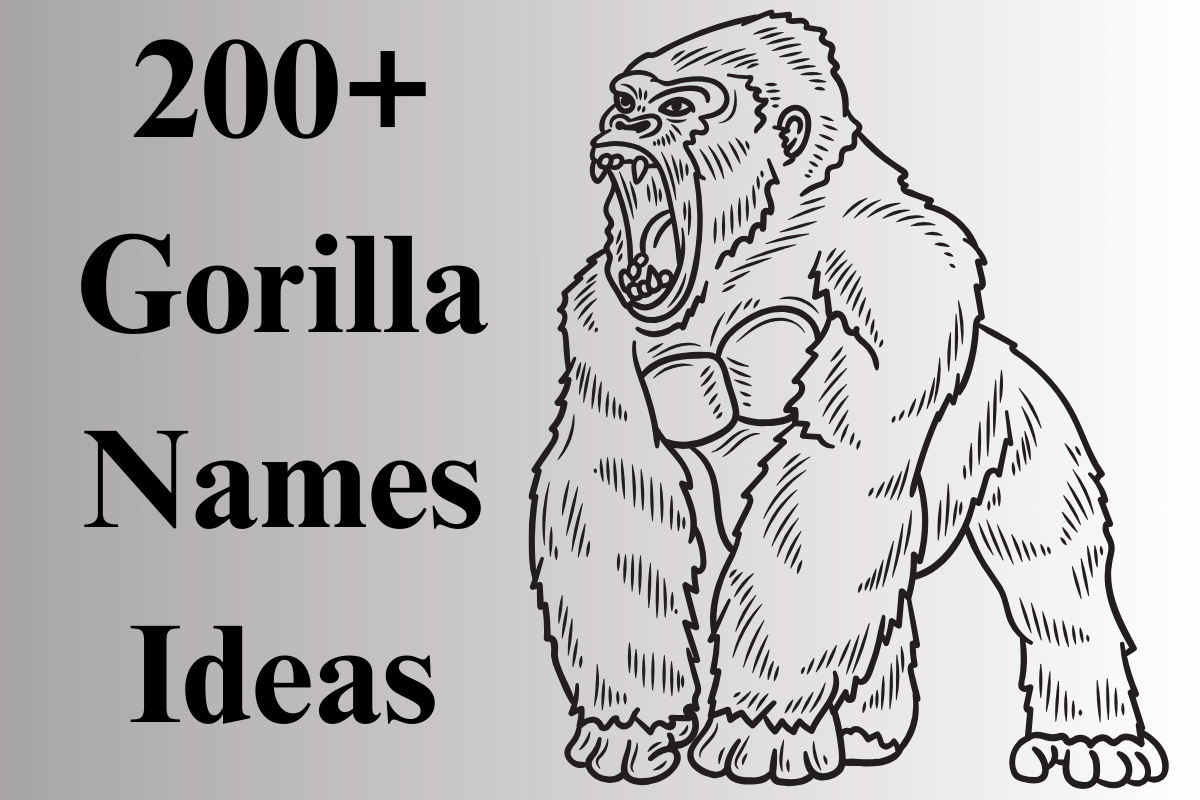 200+ Catchy Gorilla Names With Generator 2024