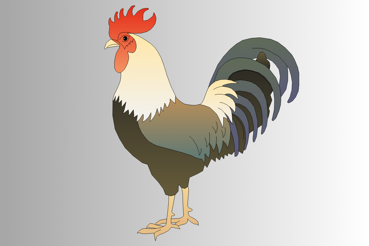 250+ Badass Rooster Names For Your Male Chicken