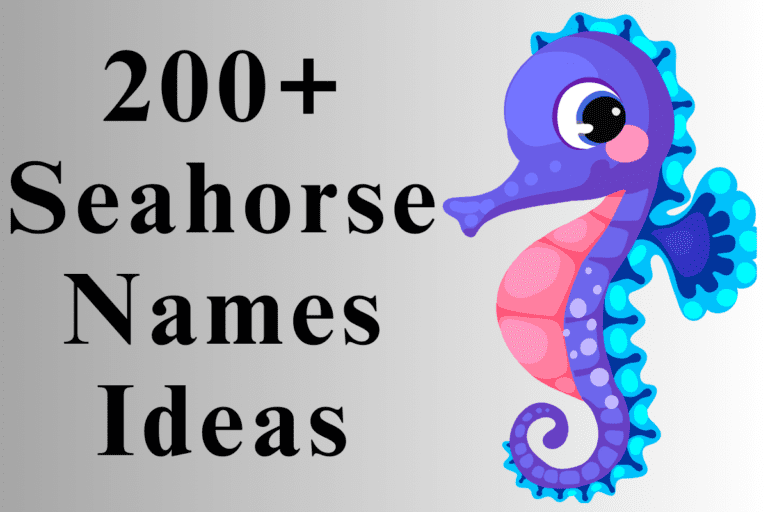 200+ Cute And Catchy Seahorse Names With Name Generator