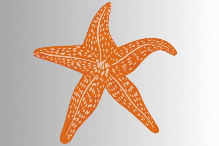 250+ Cute And Catchy Starfish Names With Name Generator