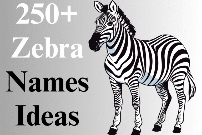 250+ Catchy Zebra Names For Your Mixed Color Friend
