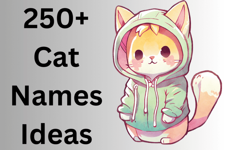 400+ Cute And Catchy Cat Names With Name Generator