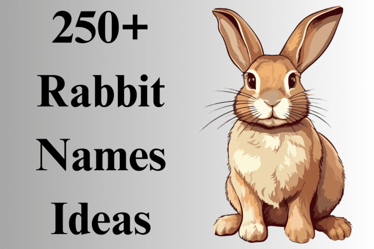 300+ Catchy Rabbit Names With Generator
