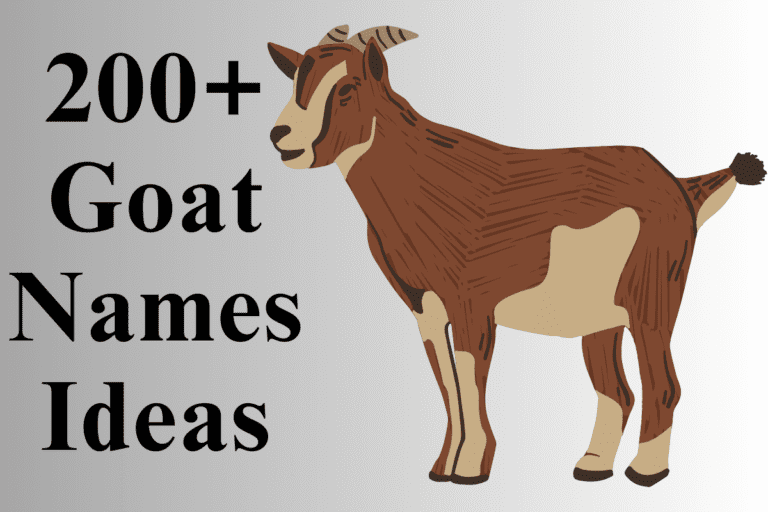 300+ Cute And Catchy Goat Names With Generator