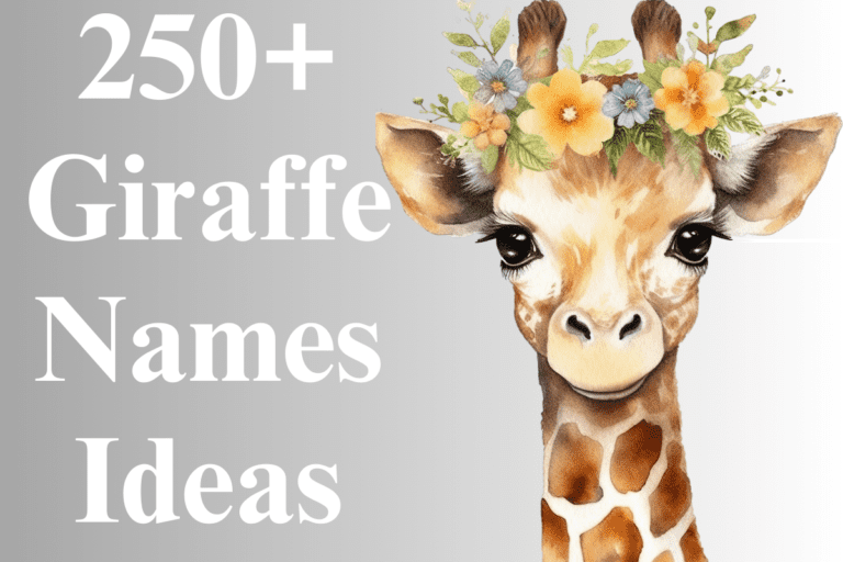 250+ Funny Giraffe Names For Your Big Companion