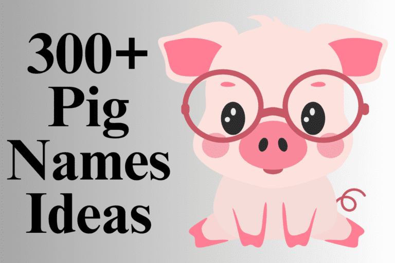 300+ Catchy Pig Names For Piggy Friend With Generator