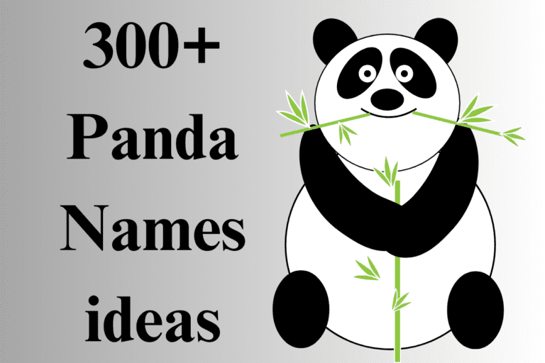 250+ Cute And Catchy Panda Names With Generator