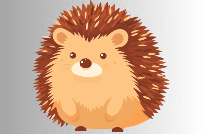 Hedgehog