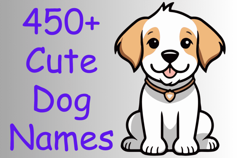 450+ Cute And Catchy Dog Names With Name Generator