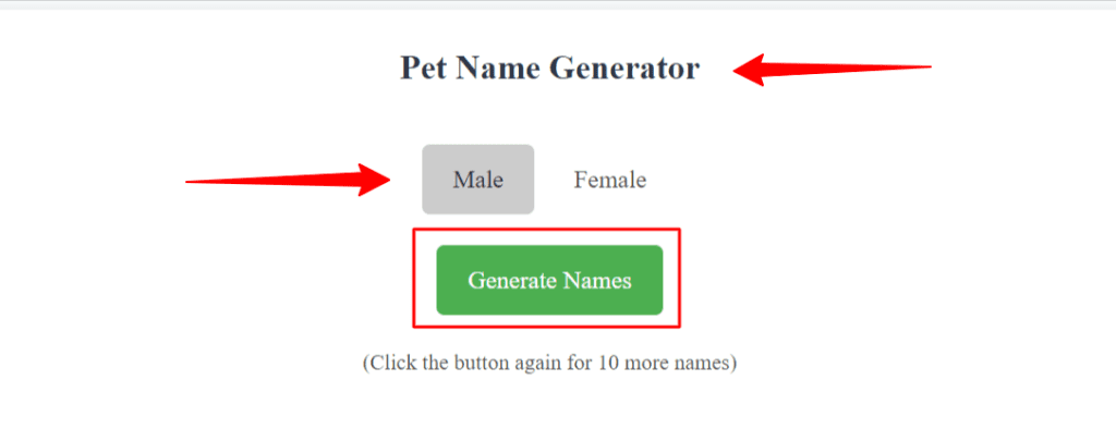 Pet Name Generator Tool