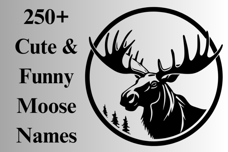 Moose Names