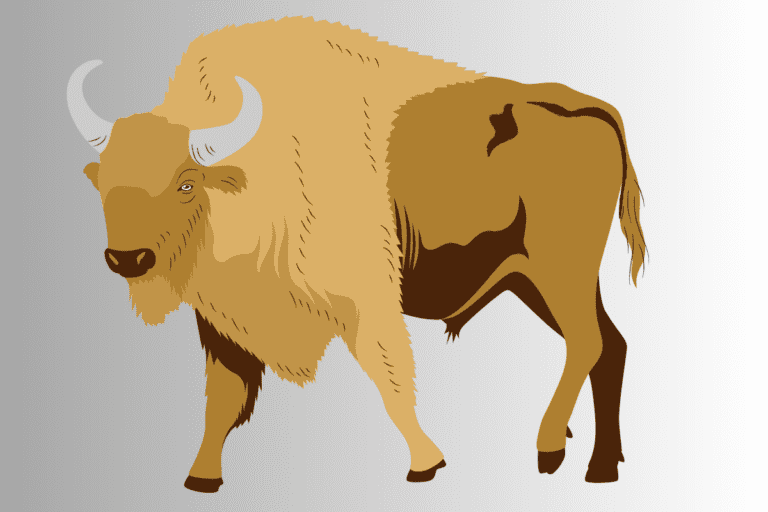 250+ Cool And Badass Bison Names With Name Generator