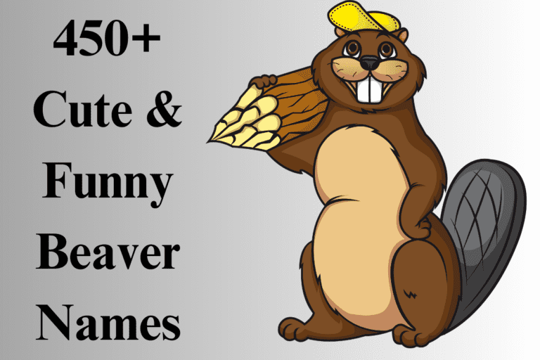 Beaver Names